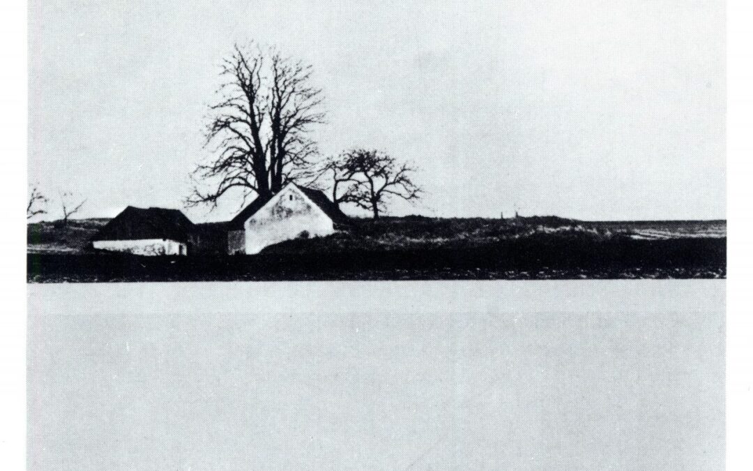 Grün kaputt 1983 – Grün kaputter 2021
