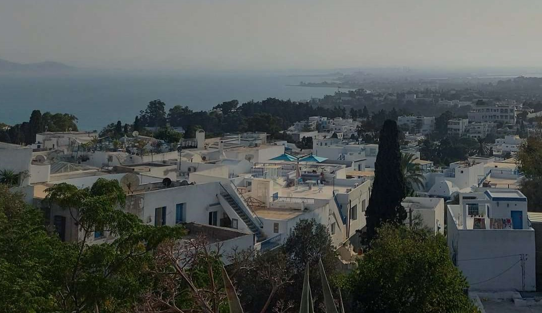 Learning from Tunis